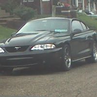 Steven Applegate Photo 12