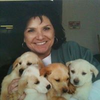 Debbie Leverett Photo 8