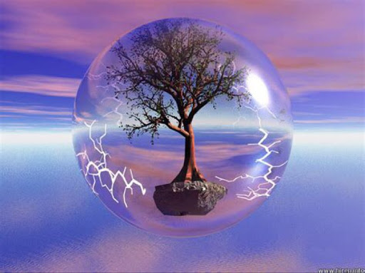 Debbie Manning Photo 33