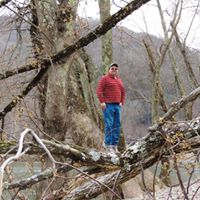 David Grose Photo 25