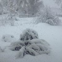 Linda Gepford Photo 1