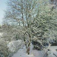 Regina Hendricks Photo 18