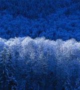 Jason Stevens Photo 10