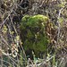 April Stump Photo 13