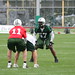 Scott Clemens Photo 12