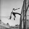 Leroy Lee Photo 30