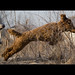 Joel Workman Photo 3