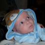 Mark Traylor Photo 14