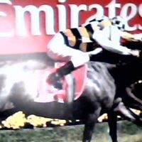 Ben Tate Photo 20