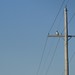 Donna Hawk Photo 13