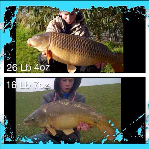 Ronnie Tew Photo 5