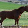 Kelly Jacobsen Photo 21