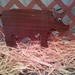 Darlene Wooden Photo 6