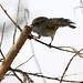 Robin Angers Photo 4