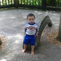 Stephen Riggins Photo 16