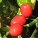 April Berry Photo 15