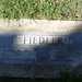Judy Fiedler Photo 10