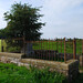 Ann Whyte Photo 18