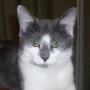 Melissa Fortner Photo 14