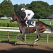 John Travers Photo 19