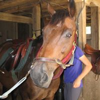 Joyce Holbrook Photo 28