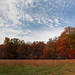 Lynn Fields Photo 17