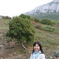 Elizabeth Wang Photo 23