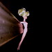Anna Odell Photo 12