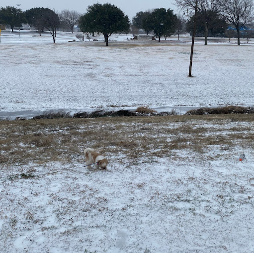 Ofelia Gonzalez Photo 11