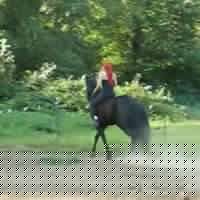 Rebecca Ladd Photo 15