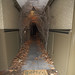 Eric Archer Photo 8