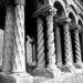 David Wilton Photo 44
