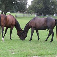Lynda Locke Photo 6