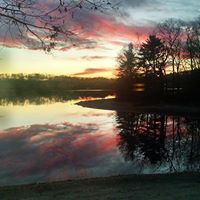 Brenda Downey Photo 14