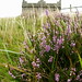 Heather Pike Photo 21