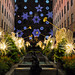 Carol Rockefeller Photo 4