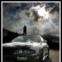Zong Yang Photo 35