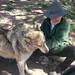 Paul Wolf Photo 20