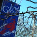 Alice Grove Photo 10