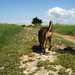 Lucy Cote Photo 20