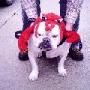 Alan Farley Photo 36