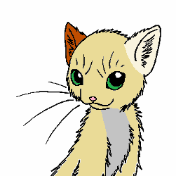 Stephanie Weller Photo 39