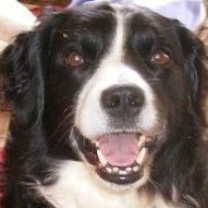 Miranda Dawson Photo 11