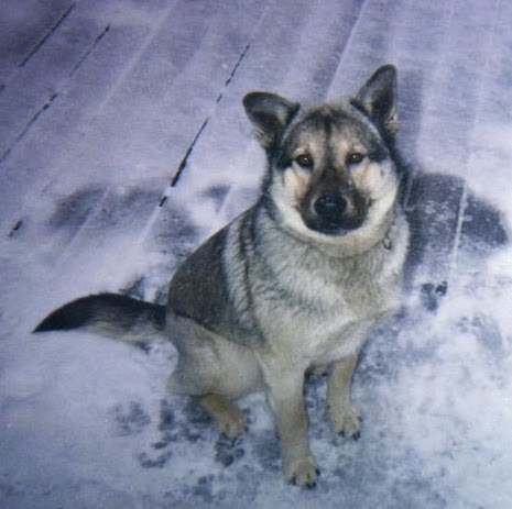Karen Hoppe Photo 31
