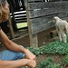 Ramona Lamb Photo 12