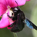 Eric Wickes Photo 8