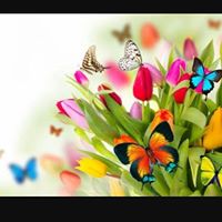 Merari Rojas Photo 12