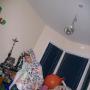 Martin Sewell Photo 18