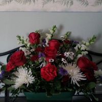Kim Savage Photo 49