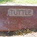 Emma Tuttle Photo 7